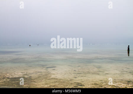 ZANZIBAR, TANZANIA - gennaio 05: Sconosciuto Zanzibar gli agricoltori di alghe marine in panni tradizionali faming alghe marine in bassa marea oceano su Paje beach, Zanzibar, Tanz Foto Stock