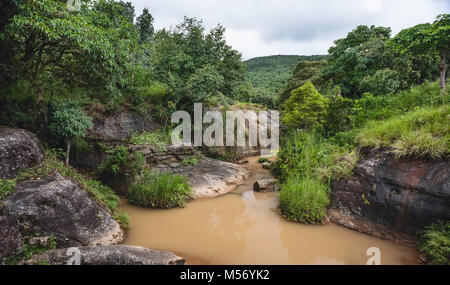 Il fiume scorre attraverso di spessore, foresta stratificata nel profondo del Khasi collina su un monsone di mattina vicino a Shillong, Meghalaya, India. Foto Stock