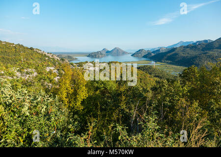 Vista sul Fiume Crnojevica fiume nel Lago di Scutari Parco Nazionale, Montenegro Foto Stock