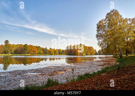 Soleggiato paesaggio autunnale - un parco in colori dorati, con un laghetto e una pittoresca isola, ingiallito lascia dominare nella foto Foto Stock