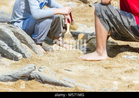 I bambini sono di apprendimento resti di dinosauri, scavo di fossili di dinosauro simulazione nel parco. Foto Stock