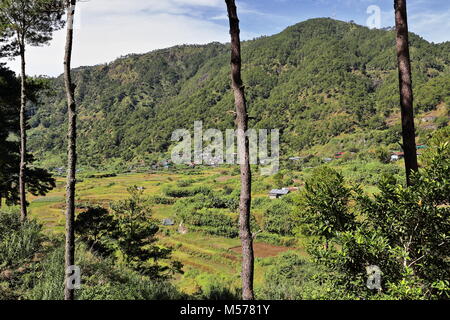 SW-reparti visualizza i campi e il borgo di Bugang-Balugang barangay da S.Road passando da Lumiang grotta a grotta Sumaguing voce. Sagada-Mountain p Foto Stock