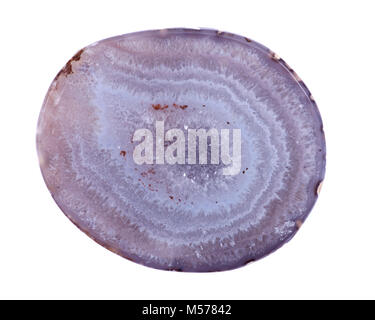 Parzialmente lucidata blu agata pizzo geode con cristallina centro druzy Foto Stock