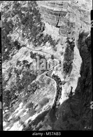 Grand Canyon storico sentiero di Kaibab mulo partito. Mulo partito fino il sentiero, UNION PACIFIC WORK PARTY CHE ERANO NEVICATO A sul bordo nord e camminava a Roaring Springs e sono stati raggiunti ci con muli da South Rim. CIRCA 1937. . Foto Stock