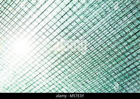 Green net texture con sole che splende attraverso. Foto Stock