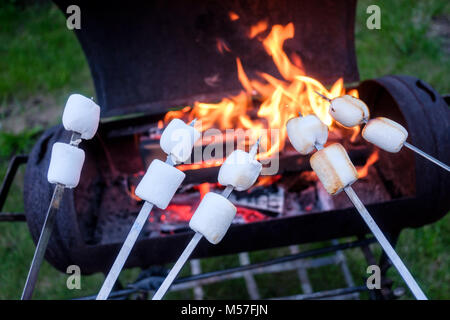 Marshmallow su spiedino di metallo Foto Stock