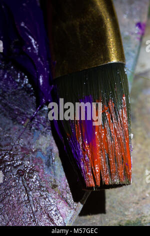 Spazzola, fiocco, macro, tavolozza villi, vernice, rosso, viola, dettaglio shine, ombra in paint Foto Stock