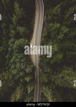 Un Birds Eye View di un taglio di strada direttamente attraverso gli alberi in montagna Foto Stock