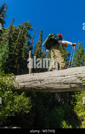 Joan Michaels su un difficile, inclinato log ponte sul torrente Grand in Badger valle durante un viaggio zaino in spalla in Grand Valley nel Parco Nazionale di Olympic Foto Stock