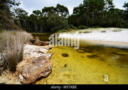 Spiaggia Greenfield Jervis Bay NSW Australia Foto Stock