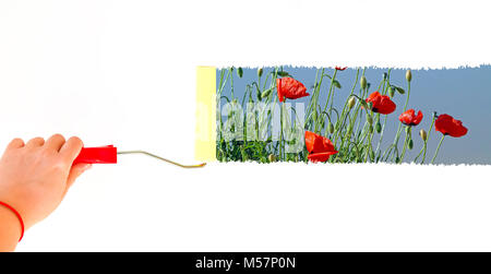 Persona papaveri di pittura su una parete bianca con una spazzola a rullo Foto Stock