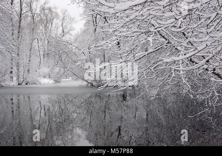 Paesaggio invernale. Il rivestimento di neve gli alberi sulla sponda del fiume in winter Park. Foto Stock