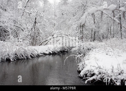 Paesaggio invernale. Il rivestimento di neve gli alberi sulla sponda del fiume in winter Park. Foto Stock