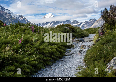 La vetta del Monte Cook torri sopra le nuvole in distanza, mentre un avvolgimento percorso di ghiaia sembra condurre attraverso la spazzola verso la montagna Foto Stock