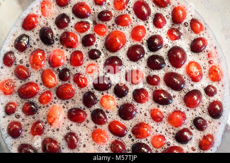 Cranberry punch alla frutta bevanda fatta per le vacanze Foto Stock