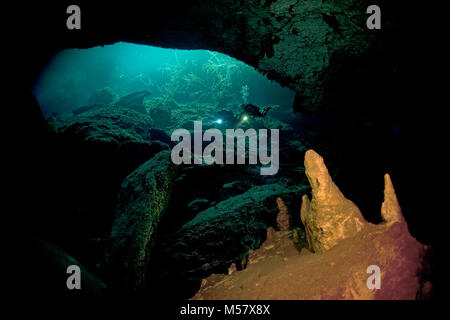 Grotta sub alla bocca della caverna El Eden, cenotes, Tulum, Yucatan, Quintana Roo, Messico, Caraibi Foto Stock