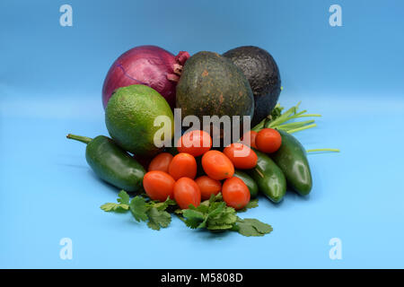 Guacamole ingredienti, compresi avocado, jalapeno, il coriandolo, pomodoro, cipolla, e calce. Foto Stock