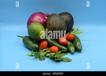 Guacamole ingredienti, compresi avocado, jalapeno, il coriandolo, pomodoro, cipolla, e calce. Foto Stock