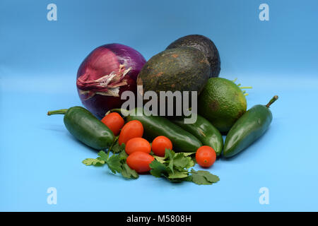 Guacamole ingredienti, compresi avocado, jalapeno, il coriandolo, pomodoro, cipolla, e calce. Foto Stock