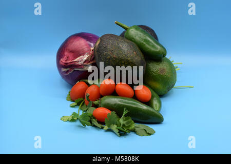 Guacamole ingredienti, compresi avocado, jalapeno, il coriandolo, pomodoro, cipolla, e calce. Foto Stock