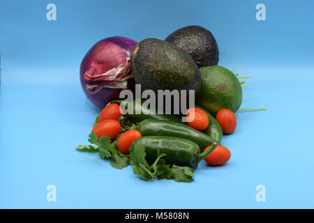 Guacamole ingredienti, compresi avocado, jalapeno, il coriandolo, pomodoro, cipolla, e calce. Foto Stock