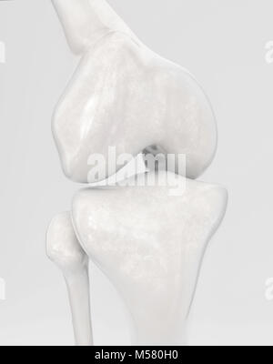 Ginocchio senza i moderni protesi del ginocchio - 3D Rendering Foto Stock
