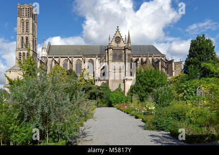 Giardino botanico contro Saint Etienne la Cattedrale di Limoges, Francia Foto Stock