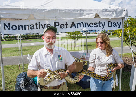 Miami Florida, Metrozoo, giorno di amnistia per animali domestici non nativi, animali esotici indesiderati, Commissione per la conservazione di pesci e animali selvatici, pitone birmano, gestore di animali, rettili Foto Stock