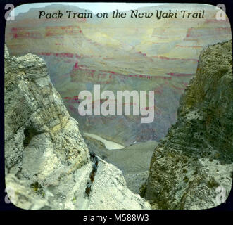 Grand Canyon Kaibab storico sentiero. PACK di treno sulla nuova YAKI TRAIL stampato su una striscia di plastica all'interno di piastre di vetro. RIDER portando quattro animali impaccata con il legno in REDWALL, fiume visibile. CHICAGO TRASPARENZA CO. Sul tappetino. CIRCA 1930. Colorate a mano lantern slide. Foto Stock
