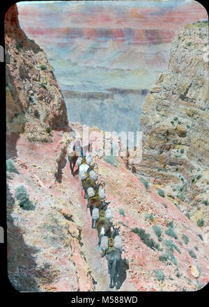 Grand Canyon storico sentiero di Kaibab mulo piloti. PACK di treno sulla SOUTH KAIBAB TRAIL CAMINO APRILE 1935 Dodge sull'etichetta. Quattro PACK muli con cilindri, un pilota che li conduce. Gola interna, NORTH RIM PARETI IN DISTANZA. . Colorate a mano lantern slide. Foto Stock