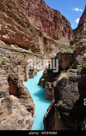 Grand Canyon Bocca di Havasu Creek . La confluenza di Havasu Creek con il Colorado River (fiume miglio 157) è un luogo popolare per i barcaioli di fermarsi e di ammirare il suggestivo blu-verde acqua di Havasu Creek. Il colore turchese è causato da acqua con un elevato contenuto di minerali. In corrispondenza del punto in cui il torrente blu incontra il torbido fiume Colorado ci appare spesso una rottura definitiva. Server dei criteri di rete Foto Stock