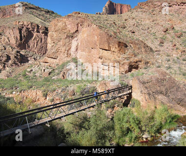 Grand Canyon Parco Nat N Kaibab Trail cade a nastro. (4638 x 3655) Questo legno e acciaio bridge è situato a circa 6 miglia a nord della Phantom Ranch su un sentiero che porta gli escursionisti dalla North Kaibab Trail a 120-piede scende a nastro. Costruito nel 1960, molti del ponte di componenti in legno, compresi deck-schede, si stanno deteriorando, rendendo necessaria la riparazione o la sostituzione. Parco Nazionale del Grand Canyon Sentiero dell equipaggio inizierà presto le riparazioni al ponte attraverso il Bright Angel Creek sul nastro cade sperone trail nel Canyon interno. Server dei criteri di rete Foto Stock