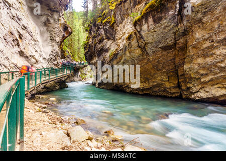 Canyon Johnston areale di escursioni nel Parco Nazionale di Banff, Alberta, Canada Foto Stock