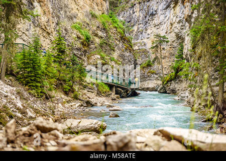 Canyon Johnston areale di escursioni nel Parco Nazionale di Banff, Alberta, Canada Foto Stock