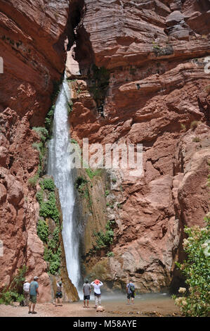 Parco Nazionale del Grand Canyon Deer Creek Falls . Le effusioni di acqua dalla molla di cervi hanno attratto la gente fin dai tempi della preistoria e oggi questo piccolo angolo di Grand Canyon è estremamente popolare tra i cercatori di notevole. Come un dono, ronzio flussi di acqua cristallina emergono dalle grotte misteriose per trasformare l'aspro deserto del canyon interno nella bella oasi verde piena con la musica della caduta di acqua e raffreddare le piscine. Deer Creek è un arresto per la maggior parte del fiume Colorado viaggi attraverso il Grand Canyon. Escursionismo in è una storia diversa. Sentiero di accesso può essere difficile a volte Foto Stock
