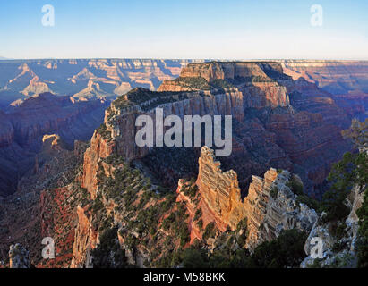 Parco Nazionale del Grand Canyon North Rim disattivato Sunrise da capo. Cape Royal sul bordo Nord offre un panorama in alto e in basso e attraverso il canyon. Con apparentemente illimitata vistas a oriente e a occidente, è popolare sia per gli orari di alba e tramonto. Il giro di spazzamento del Fiume Colorado in Unkar Delta è inquadrata tramite l'arco naturale degli angeli finestra. Cercare il deserto vista torre di avvistamento attraverso il canyon sul bordo sud. Questo popolare viewpoint è accessibile tramite un lastricato, livello trail. Cape Royal e punto Imperial sono raggiunti tramite un avvolgimento scenic drive. Il viaggio per entrambi i punti, con brevi passeggiate a ea Foto Stock
