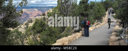 Parco Nazionale del Grand Canyon Rim Trail (South Rim) . Lungo il Rim Trail tra Verkamps e l'Yavapai Museo di geologia. Ottobre 8, 2011. Il Rim Trail (sull'Orlo Sud del Grand Canyon National Park) tratti dal Kaibab sentiero a ovest di eremiti di riposo, ad una distanza di circa tredici miglia (21 km), la maggior parte del sentiero è lastricato s. Tra tubo Creek Vista e il Bright Angel Lodge solo un paio di brevi tratti di sentiero hanno gradazioni che superano gli standard di accessibilità. A ovest di Bright Angel Lodge, il Rim Trail si restringe e si arrampica il Bright Angel anomalia a punti di vista lungo Hermit Road. Scommettere Foto Stock