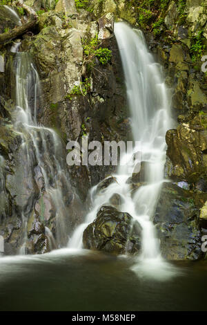 Rose River Falls nel Parco Nazionale di Shenandoah, Virginia Foto Stock