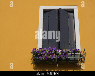 Finestra sul giallo home a Venezia Italia Foto Stock