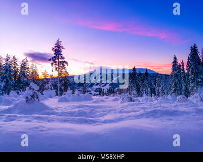 In corrispondenza di una distanza, Trysilfjellet Ski Resort in sunset. In Norvegia la più grande sci alpino relazione. Boschi innevati in primo piano. Foto Stock