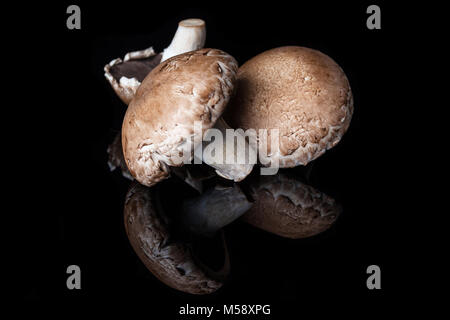 Tre grandi marrone di funghi champignon su sfondo nero con la riflessione Foto Stock