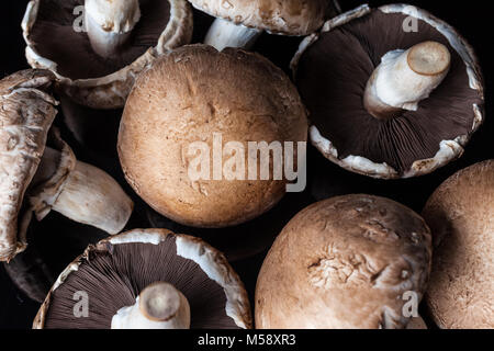 Vista da sopra il grande marrone di funghi champignon sparsi su sfondo nero Foto Stock