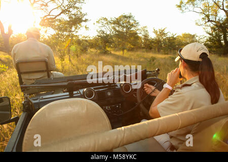 Tracker e guida Safari su una 4x4 in un sudafricano game reserve Foto Stock