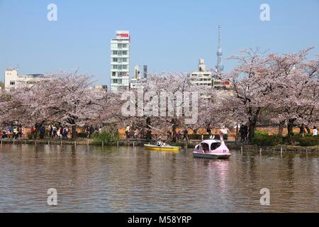TOKYO, Giappone - 12 Aprile 2012: i visitatori godere la fioritura dei ciliegi (Sakura) nel Parco di Ueno, Tokyo. Il Parco Ueno è visitato da fino a 2 milioni di persone annualmente Foto Stock