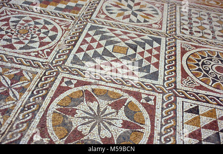 La Libia. Tripoli. Leptis Magna. Mosaico in rovine di una Villa Romana, vicino a Leptis Magna. Unesco World Heritage Site. Sito archeologico di Leptis Magna. Foto Stock