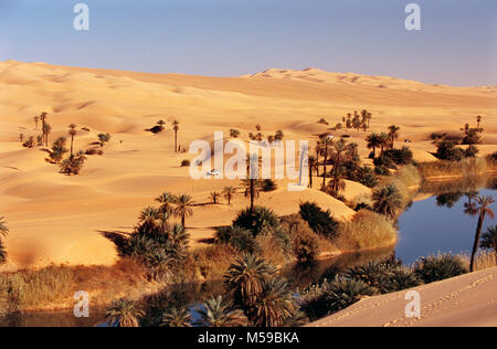 La Libia. Ubari. Deserto del Sahara. Ubari Sandsea. Um el Ma Salt Lake. Oasi. Alberi di palma. L'acqua. 4x4 4WD AUTO. Foto Stock
