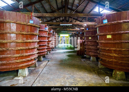 La fabbrica di salsa di pesce di impianti di produzione sull'isola di Phu Quoc dalla fermentazione tradizionale metodo di acciughe fermentata prodotta in grandi, Vietnam Foto Stock