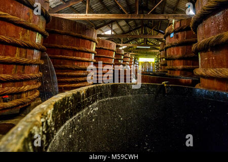 La fabbrica di salsa di pesce di impianti di produzione sull'isola di Phu Quoc dalla fermentazione tradizionale metodo di acciughe fermentata prodotta in grandi, Vietnam Foto Stock