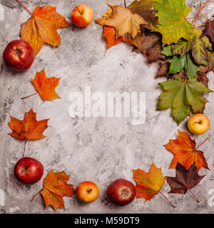In autunno le mele e foglie di acero in calcestruzzo di colore grigio in una composizione con una copia dello spazio. Vista da sopra. Pattern Foto Stock