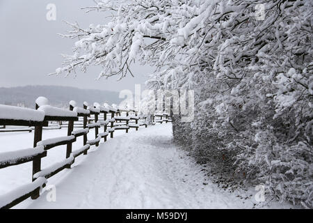 Paesaggio invernale con neve fresca su rurale staccionata in legno a fattoria degli animali Foto Stock